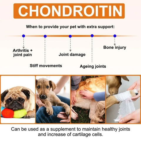 Dogs 170 Dog Joint Pain