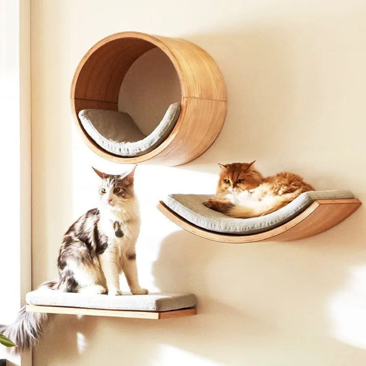 Premium Wall-Mounted Cat Climbing Shelves Set