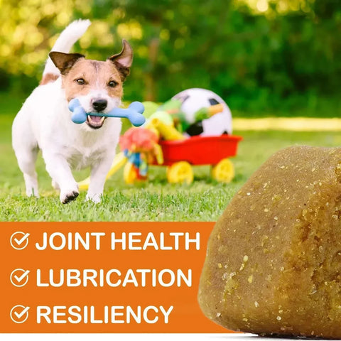 Dogs 170 Dog Joint Pain