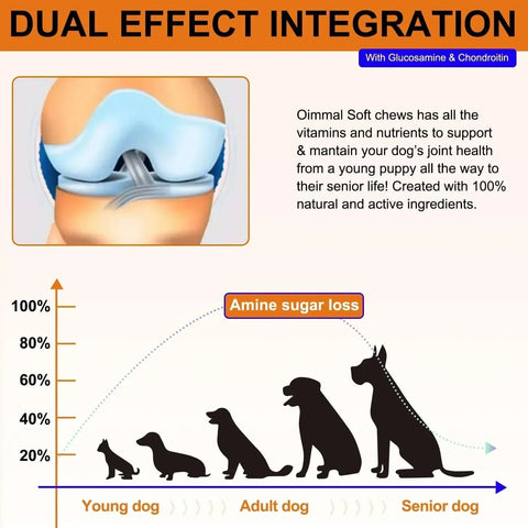 Dogs 170 Dog Joint Pain