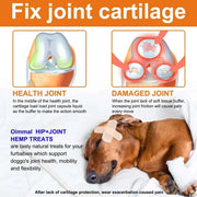 Dogs 170 Dog Joint Pain