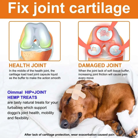 Dogs 170 Dog Joint Pain