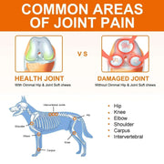Dogs 170 Dog Joint Pain