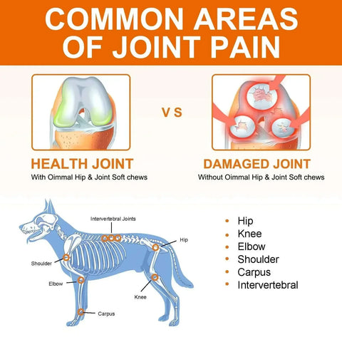 Dogs 170 Dog Joint Pain