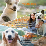 Dogs 170 Dog Joint Pain