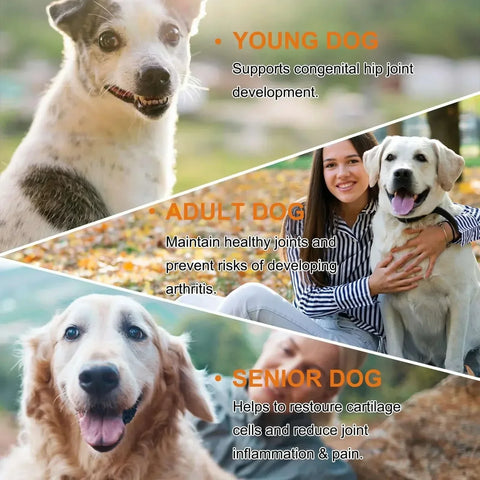 Dogs 170 Dog Joint Pain
