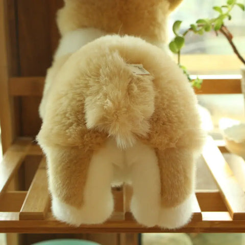 LuxePup