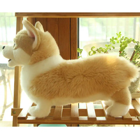 LuxePup
