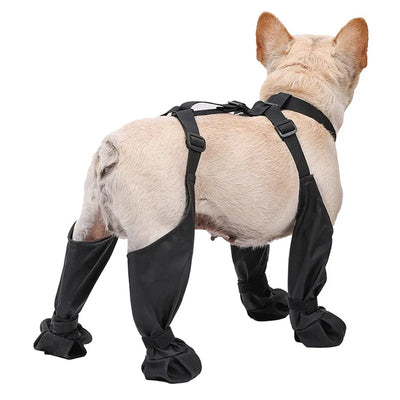 Pet Rain Shoes