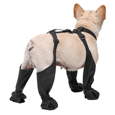 Pet Rain Shoes