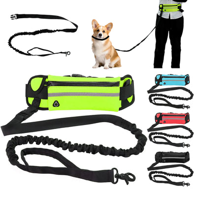 Reflective hands-free dog leash