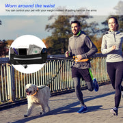 Reflective Hands-Free Dog Leash