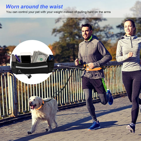 Reflective Hands-Free Dog Leash