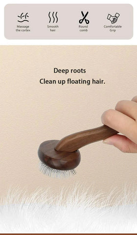 Sustainable wooden pet grooming brush with ergonomic handle, ideal for detangling and smoothing pet hair.