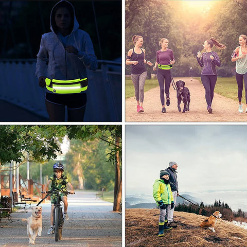 Reflective Hands-Free Dog Leash