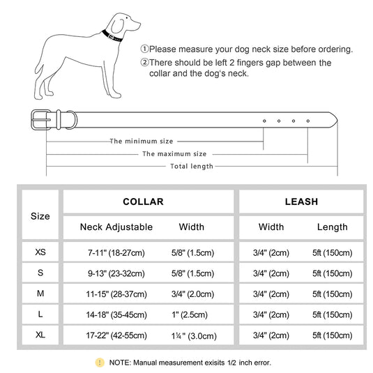 Personalized Leather Dog Collar & Leash Set with Engraved Nameplate
