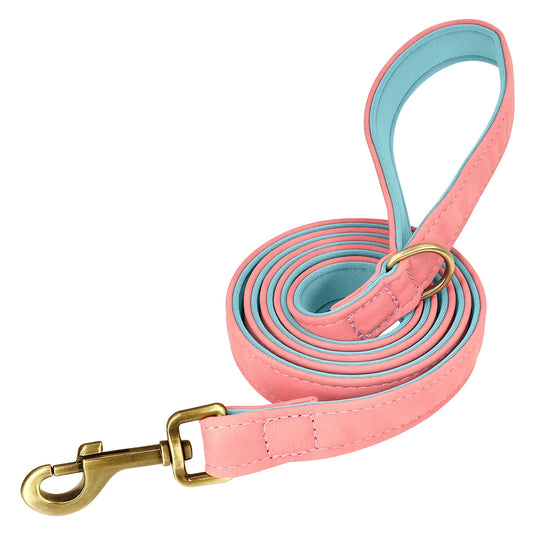 Personalized Leather Dog Collar & Leash Set with Engraved Nameplate