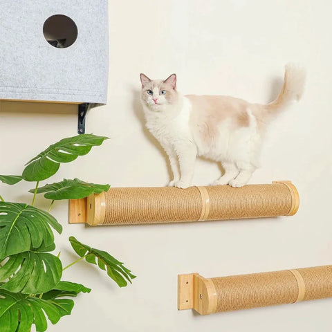 Ultimate Wall-Mounted