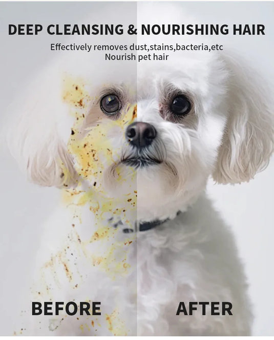 Pet Disposable Gloves for Grooming
