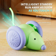 Smart Racer