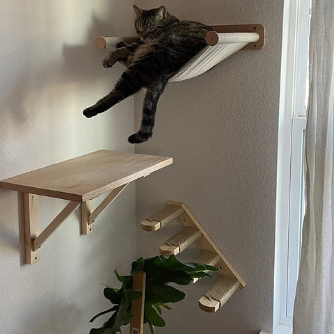 Ultimate Wall-Mounted