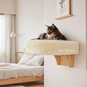 Wall mounted wooden cat bed with soft cushion and sturdy hardwood frame attached to wall in cozy bedroom