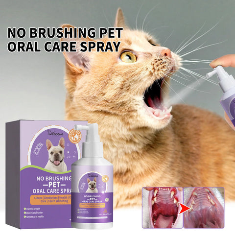 Dog Teeth Cleaning Spray,