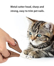 Cat getting nails trimmed with Sustainable Pet Grooming Set.