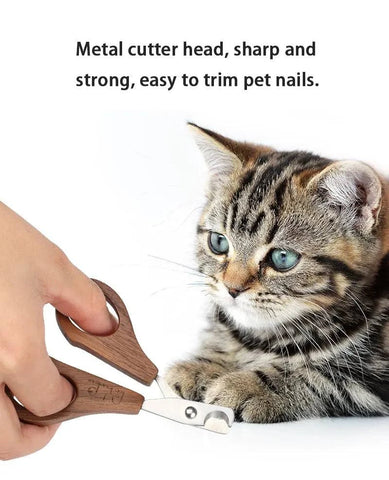 Cat getting nails trimmed with Sustainable Pet Grooming Set.