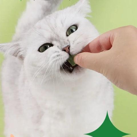 Natural Cat Grass Digestive Treats