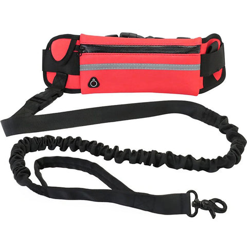 Reflective Hands-Free Dog Leash