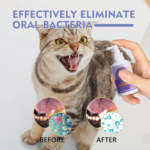 Pet Dental Spray: Fresh Breath and Sparkling Teeth for Dogs and Cats!