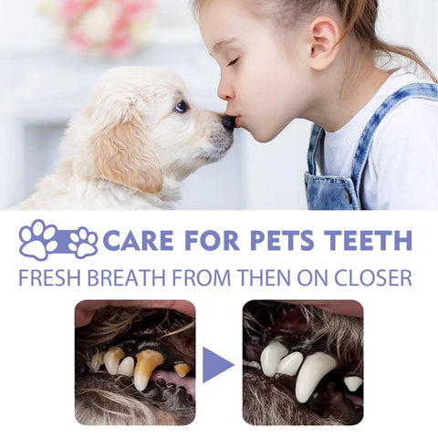 Dog Teeth Cleaning Spray,