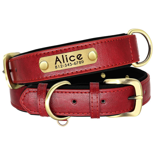 Personalized Leather Dog Collar & Leash Set with Engraved Nameplate