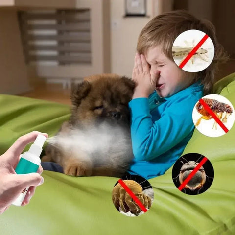 Anti-Itch Spray
