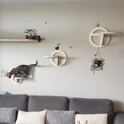 Ultimate Wall-Mounted