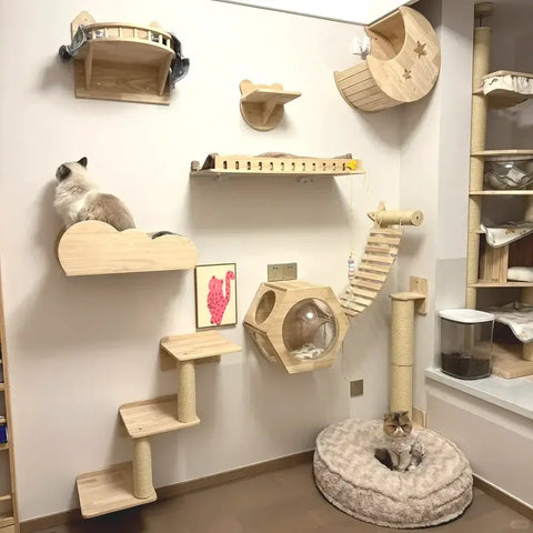 Wall mounted cat climbing shelves with wooden hammock, scratching ladder, and multi-level play area for cats.