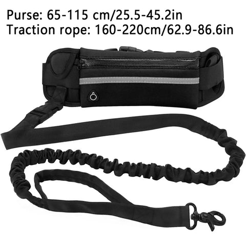 Reflective Hands-Free Dog Leash