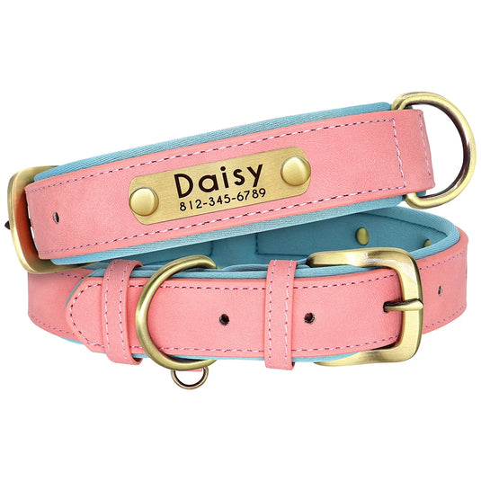 Personalized Leather Dog Collar & Leash Set with Engraved Nameplate