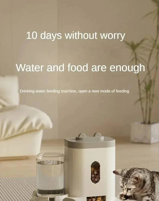 Automatic Cat Feeder