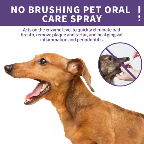 Dog Teeth Cleaning Spray,