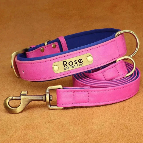 Personalized Dog Collar 