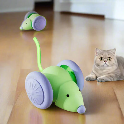 Smart Racer