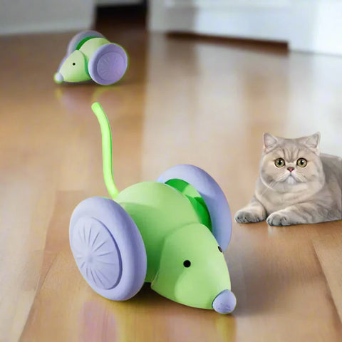 Smart Racer
