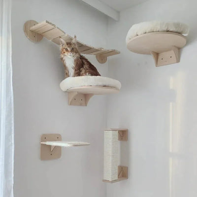 Ultimate Wall-Mounted cat playground