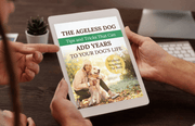 Pets Supporting Healthy Gut & Immune System