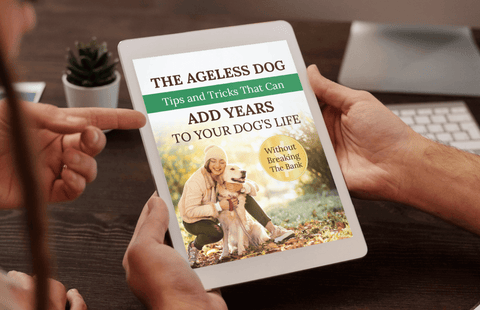 Pets Supporting Healthy Gut & Immune System