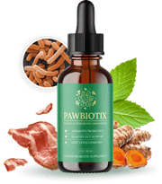 Pets Supporting Healthy Gut & Immune System