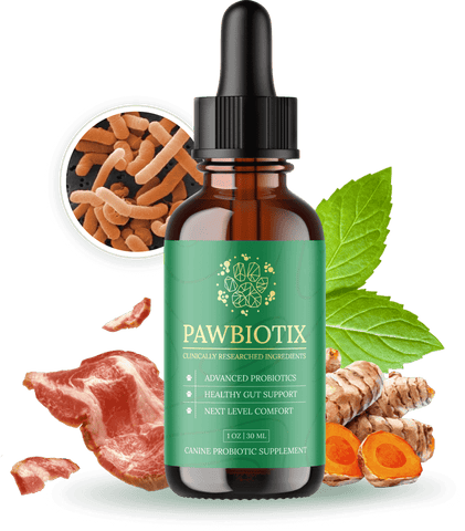 Pets Supporting Healthy Gut & Immune System